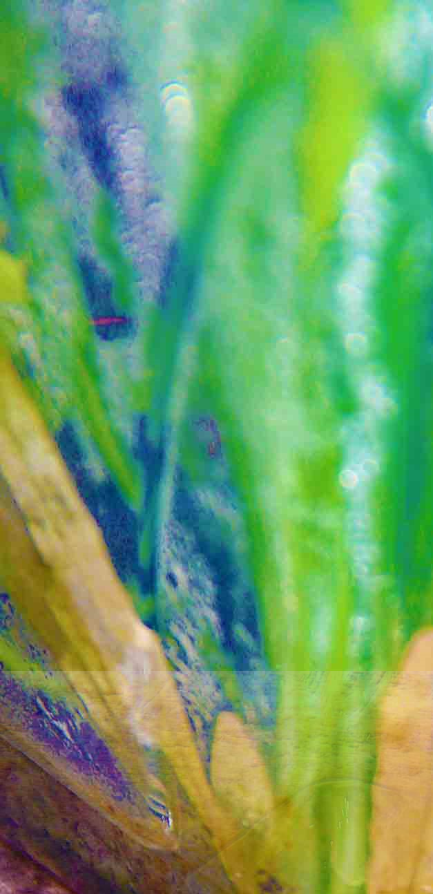 Austin Fine Art Gallery